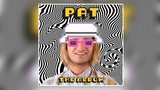 Cover: Pat Burgener - ”PAT The Album”, Irascible Music