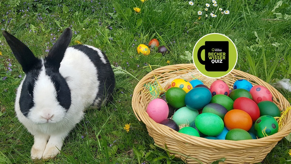 Ein schwarz-weißer Hase sitzt neben einem Korb mit bunten Eiern