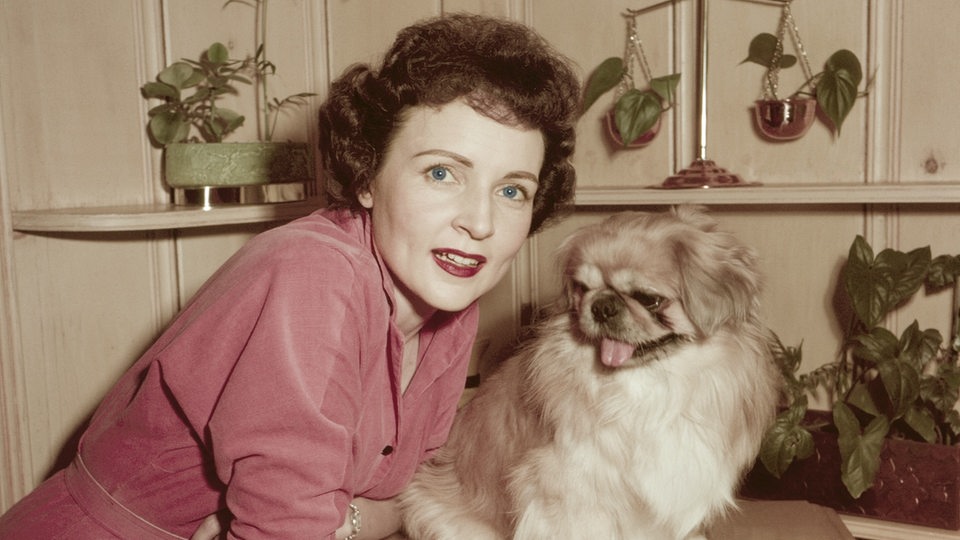 Betty White mit Hund Bandy im Jahre 1954 (Archivbild)