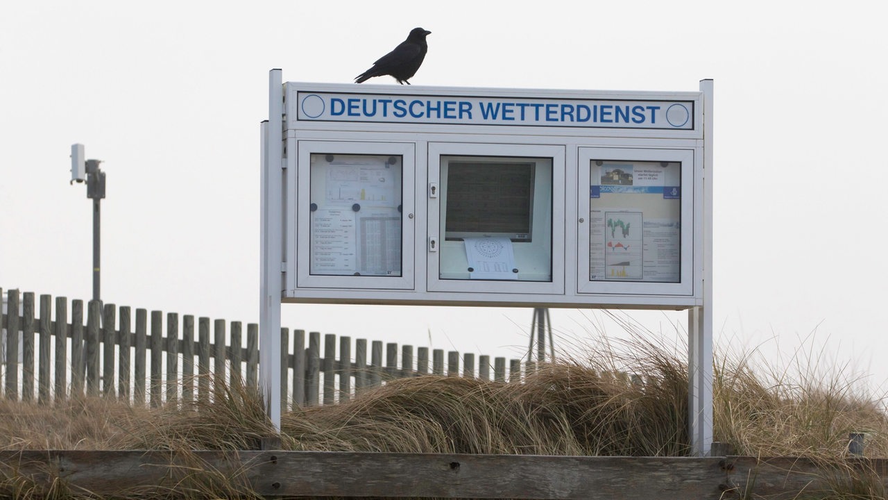 Eine Krähe auf einem Infokasten des Deutschen Wetterdienstes