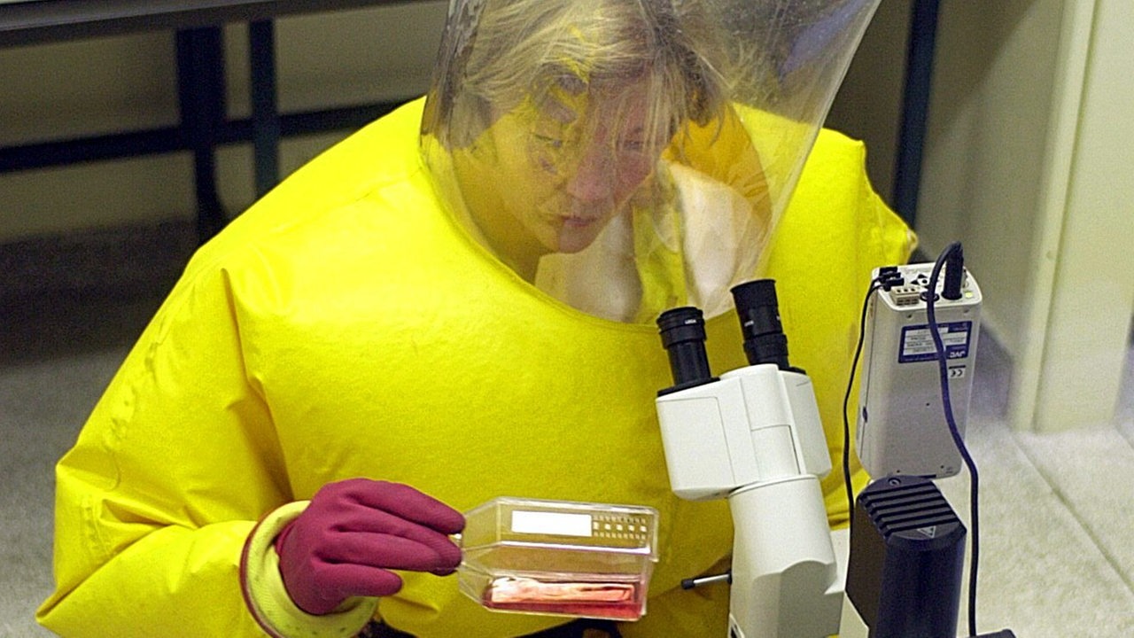 Eine Virologin des Bernhard-Nocht-Institut für Tropenmedizin in Hamburg untersucht am 28.3.2003 im Hochsicherheitslabor des Viren-Kulturen (Archivbild)