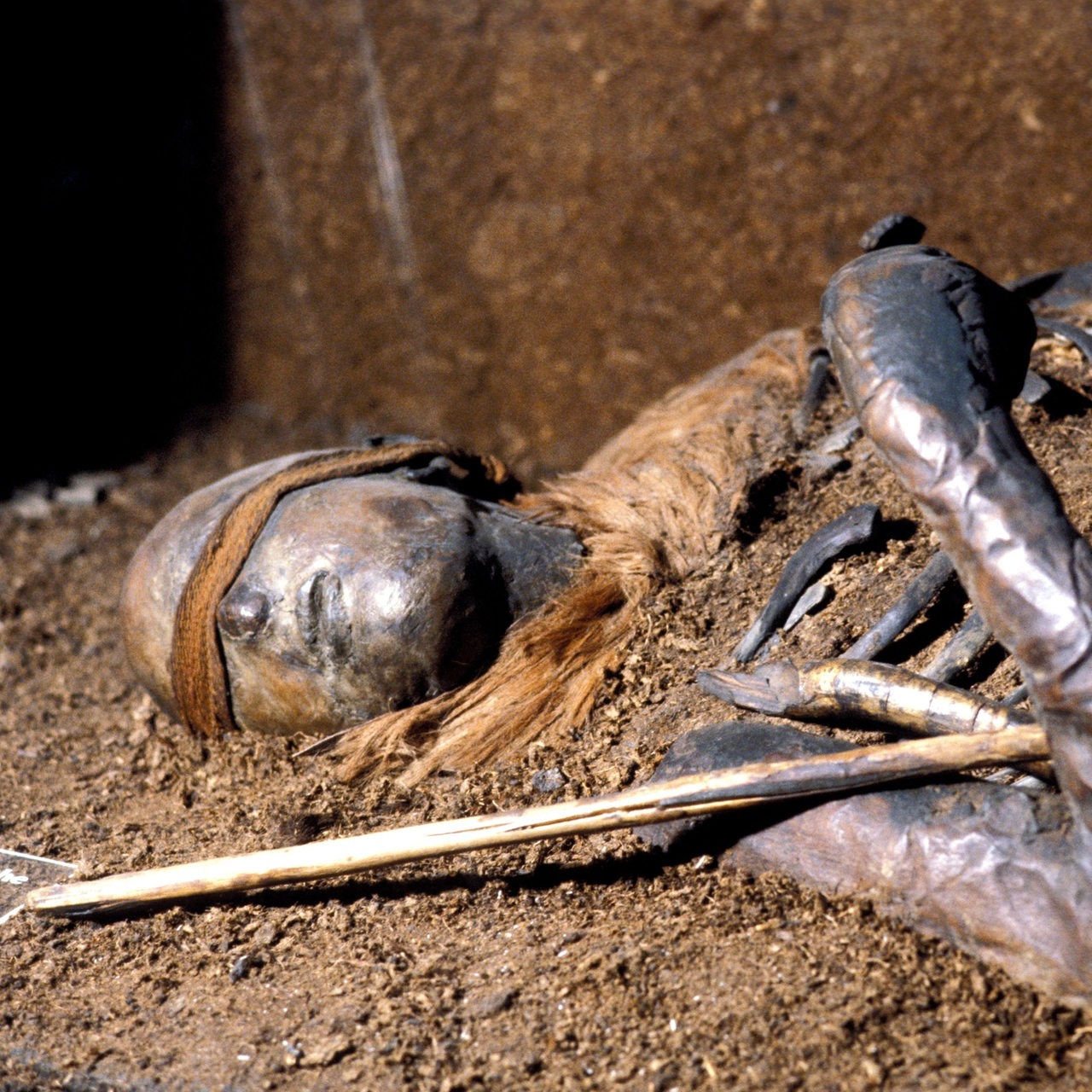 Die fälschlich als "Mädchen von Windeby" bezeichnete Moorleiche im Landesmuseum Schloss Gottorf