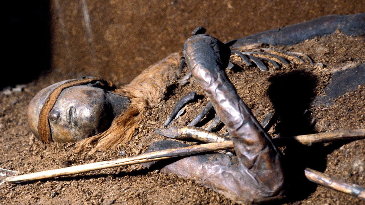 Die fälschlich als "Mädchen von Windeby" bezeichnete Moorleiche im Landesmuseum Schloss Gottorf