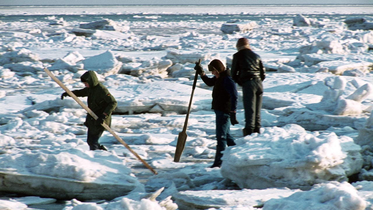 Zugefrorenes Wattenmeer, hier im Jahre 1972  (Archivbild)