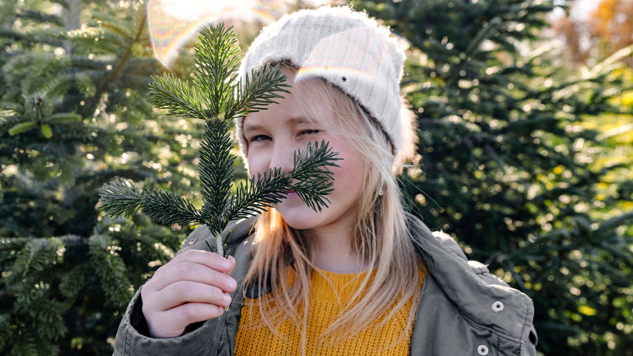 Mädchen mit Tannenzweig bei einem Weihnachtsbaumverkauf