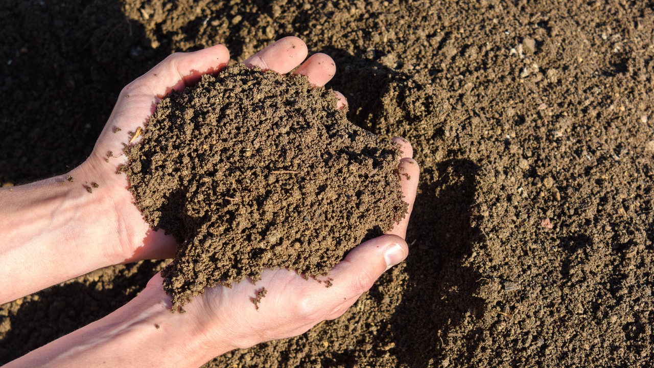 Hände mit Gartenerde