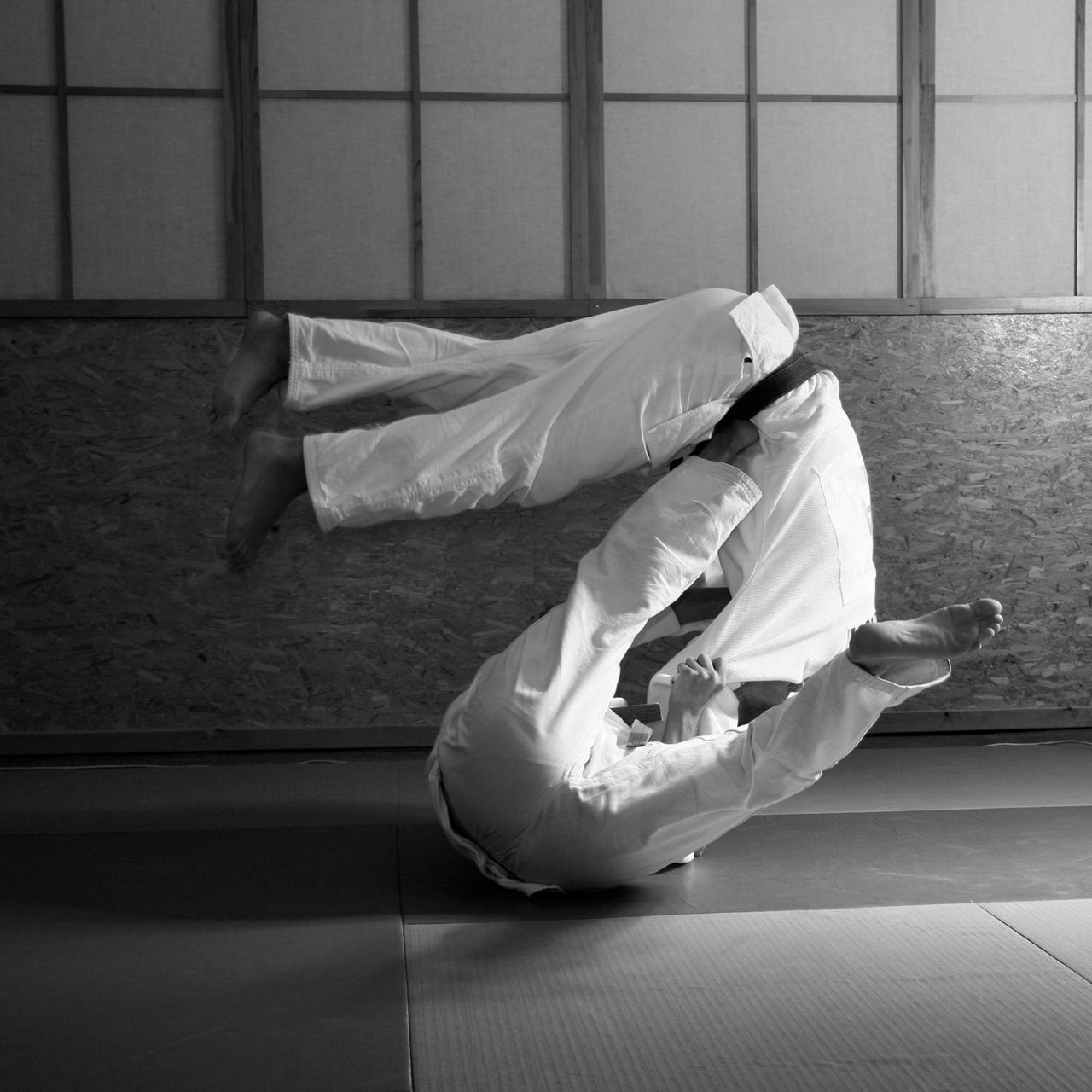 Judo Kampf