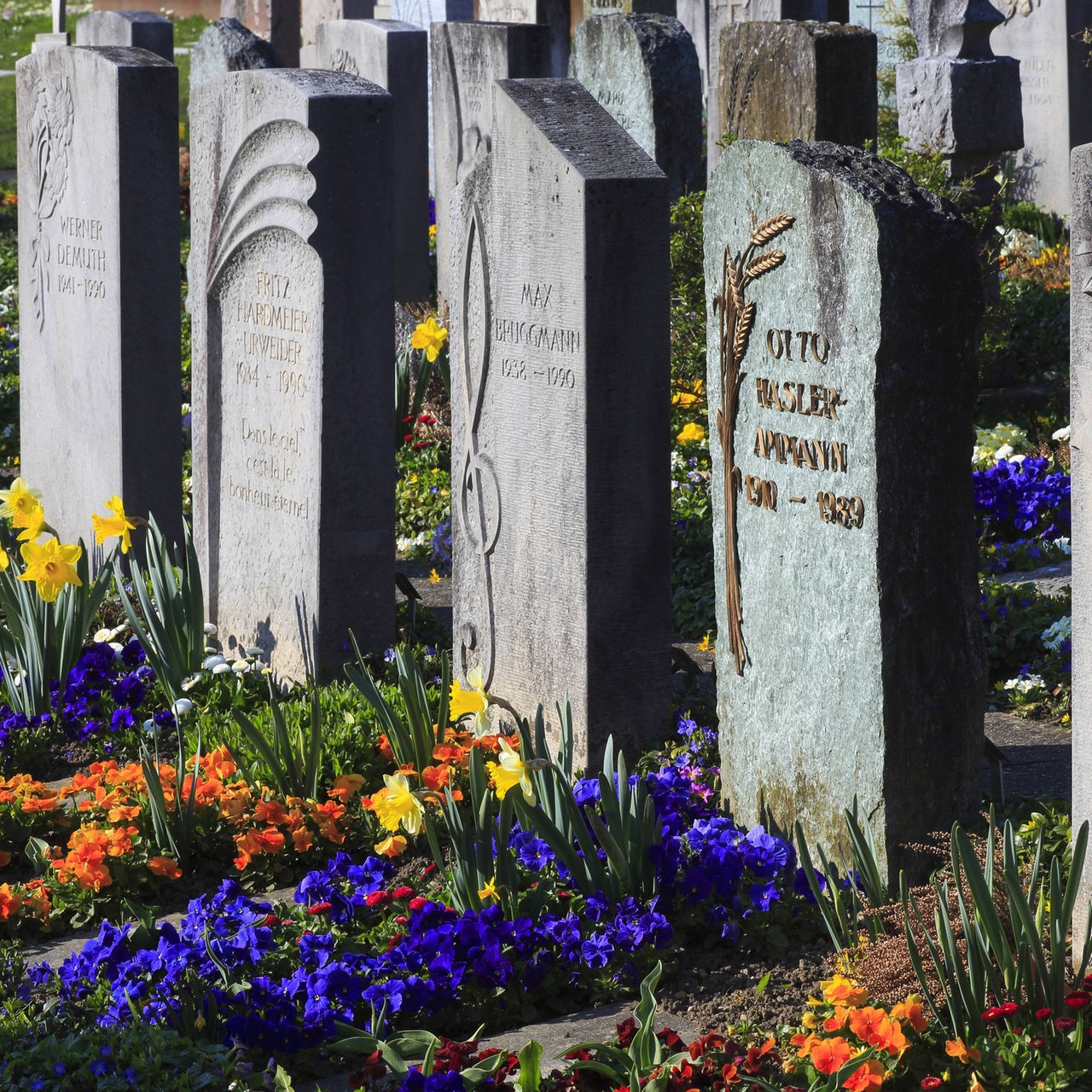 Friedhof mit bunten Blumen