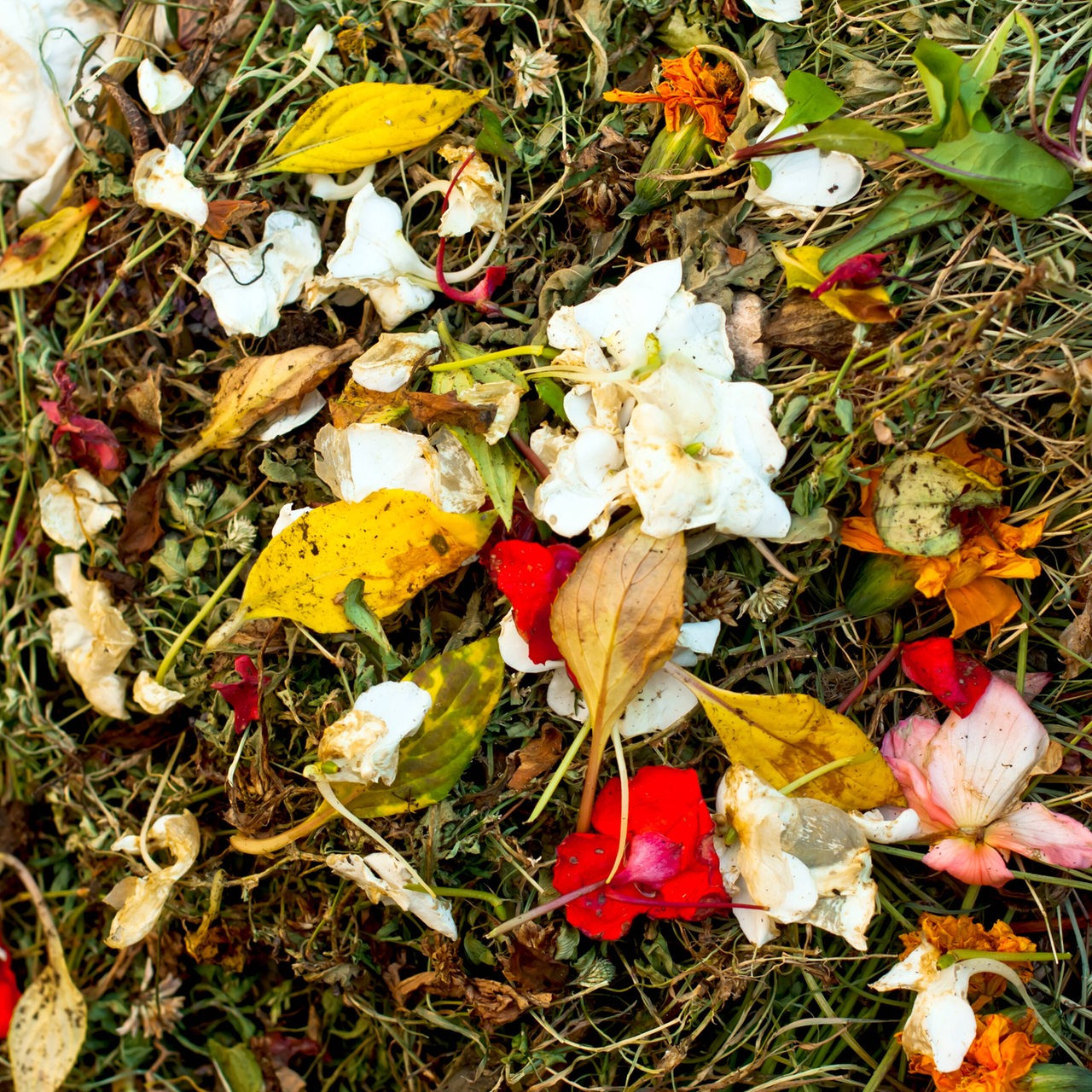 Ein Haufen Blütenblätter und anderer Gartenabfall.