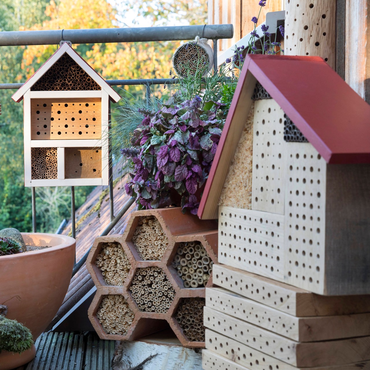 Wildbienen-Nisthilfen auf einem Balkon