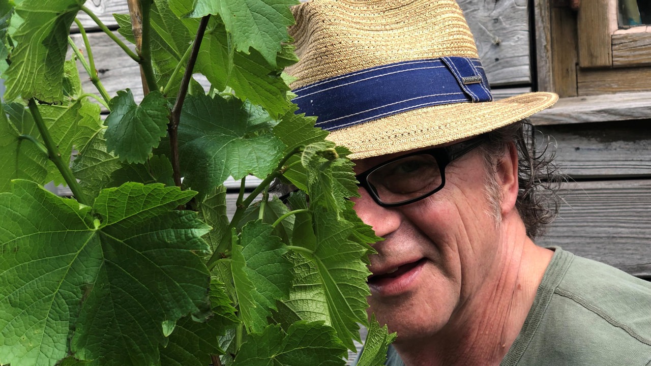 Jens Schellhass aka Der Parzellist versteckt sich hinter einen Weinpflanze