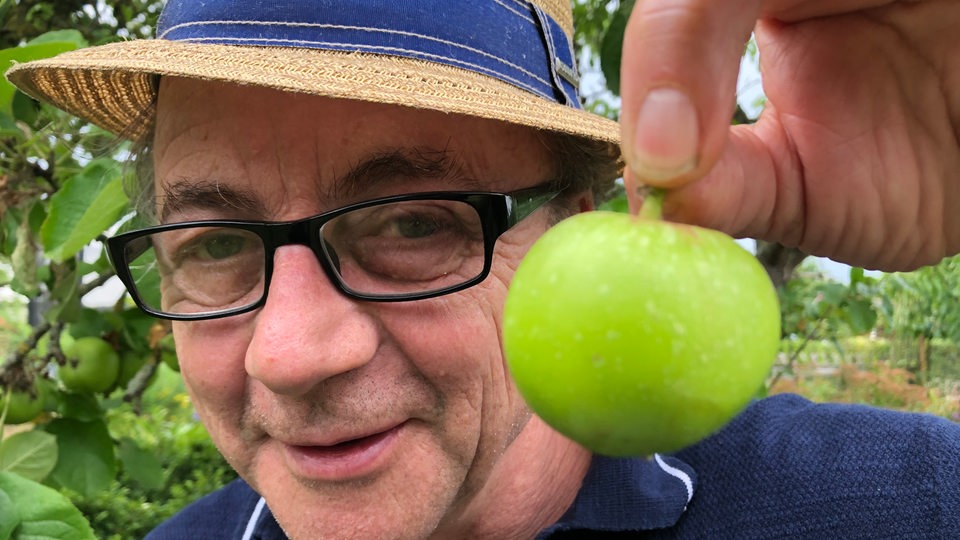 Der parzellist mit einem grünen Apfel in der Hand 