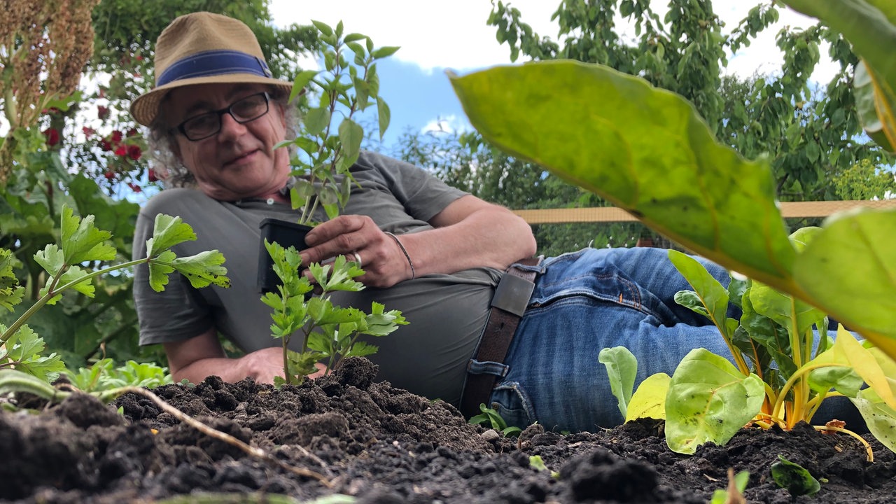 Reporter Jens Schellhass liegt mit einer Pflanze im Beet