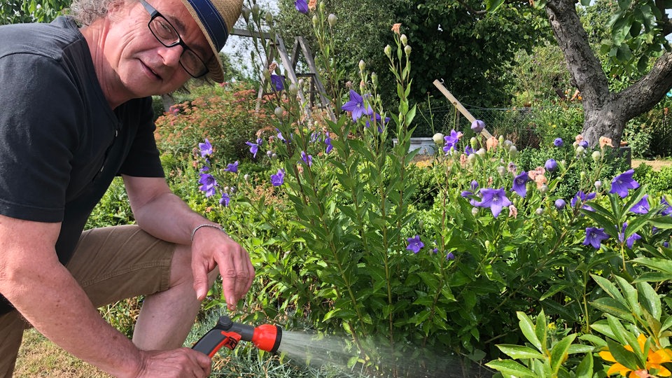 Der Parzellist Jens Schellhass gießt seine Pflanzen mit dem Gartenschlauch