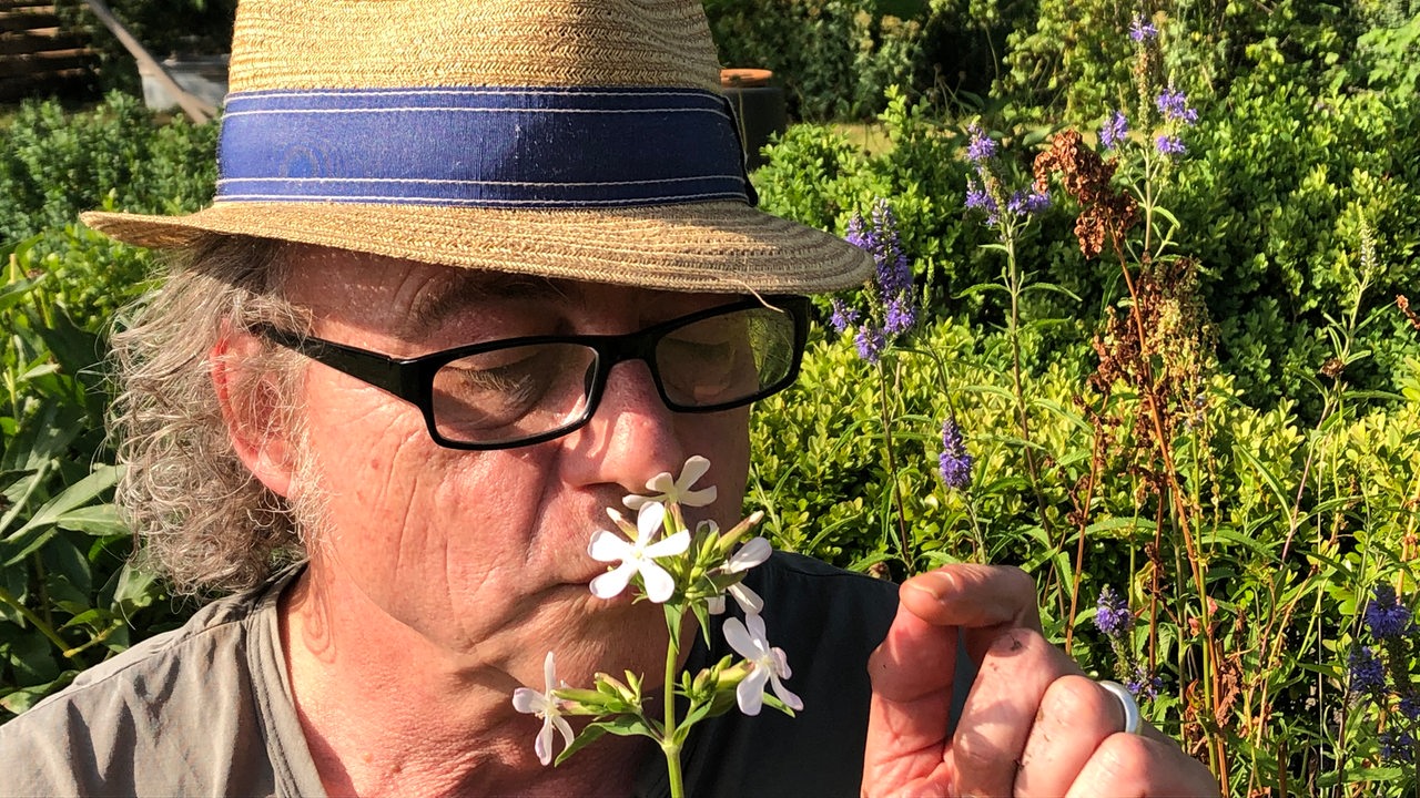 Jens Schellhass riecht an der weißen Blüte des Seifenkrauts