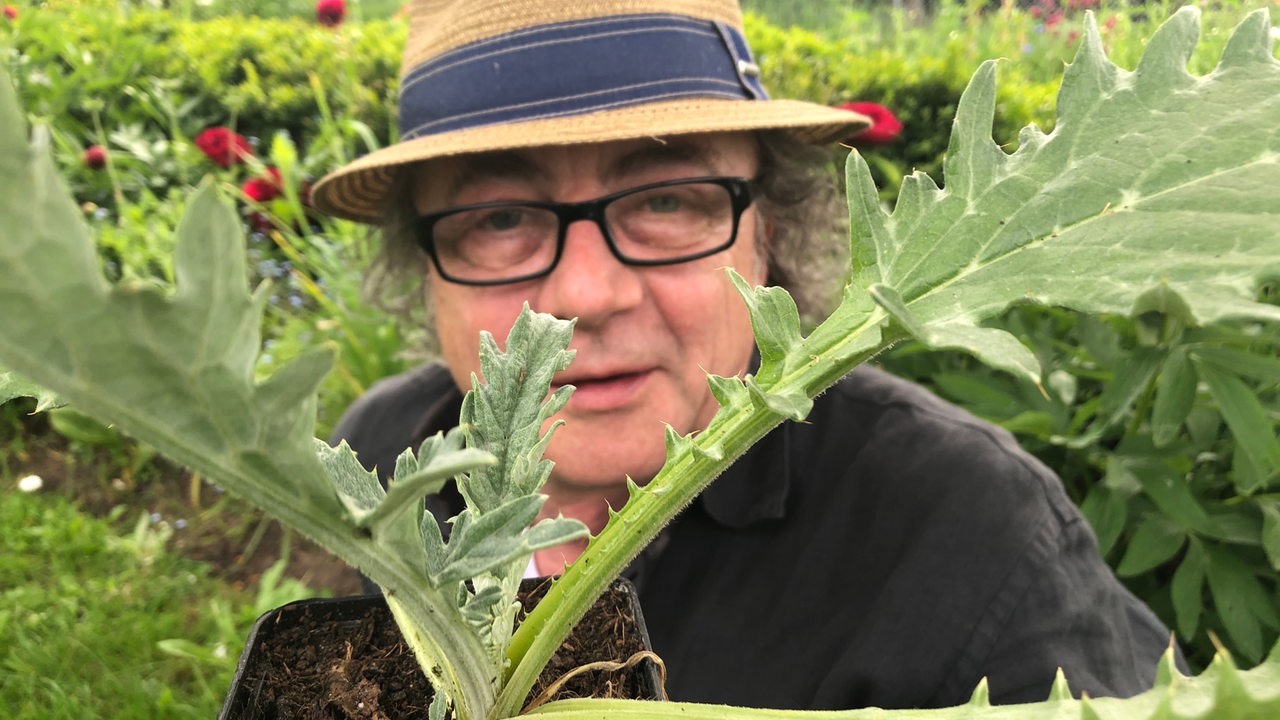 Jens Schellhass im Garten mit einer Pflanze in der Hand