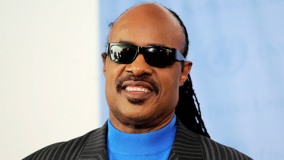 Der Musiker Stevie Wonder (2011)