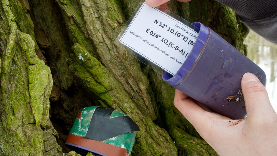 Ein Geocache-Behälter wird in einem Baum versteckt