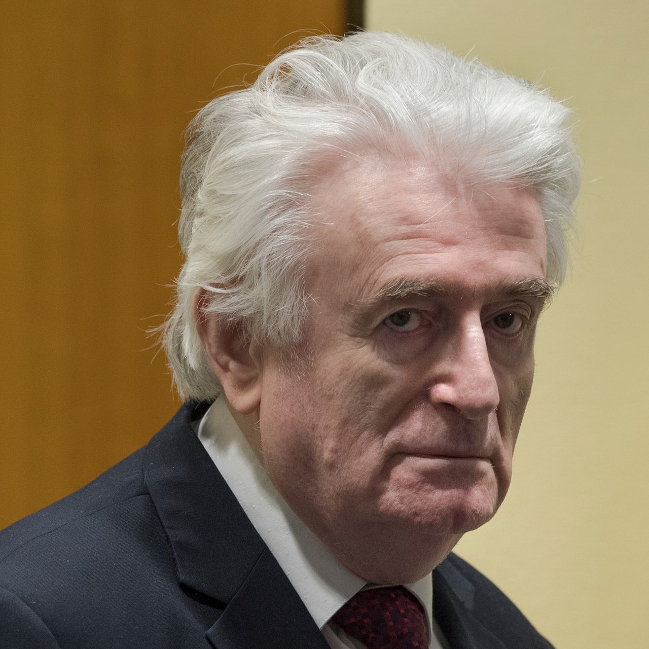 Radovan Karadžić am 20. März 2019 vor dem Internationalen Kriegstribunal in Den Haag (Archivbild)