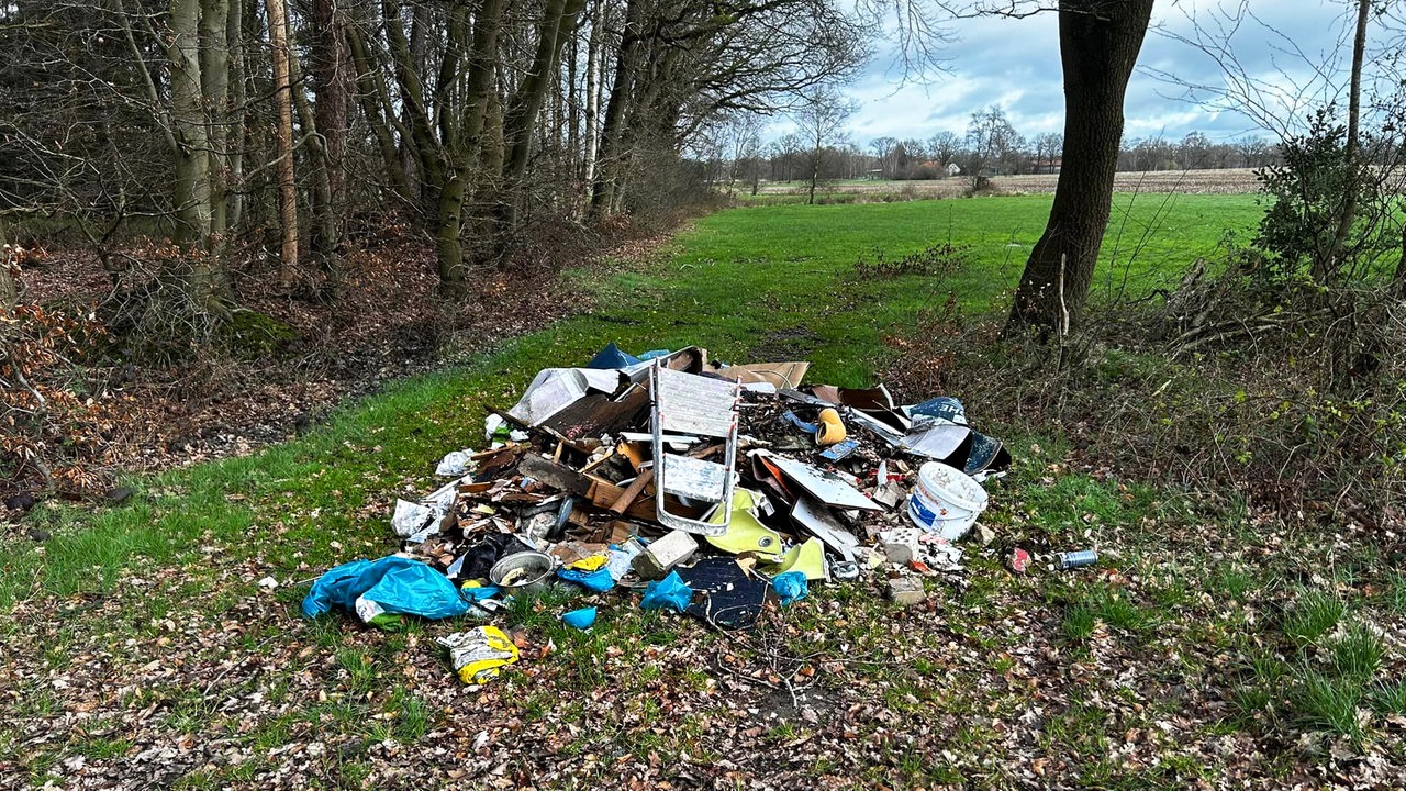 Foto zeigt eine illegale Müllkippe an einem Waldrand.